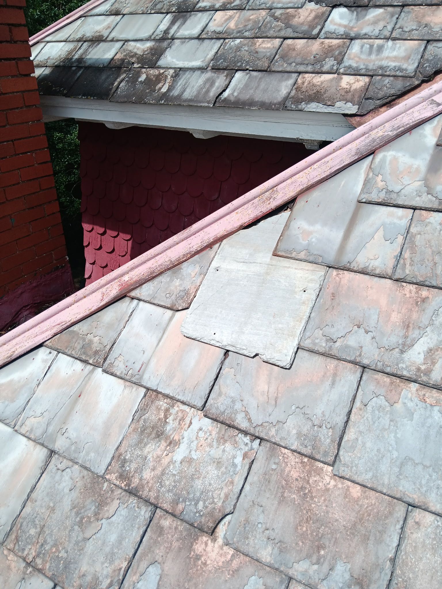 image4 (2)